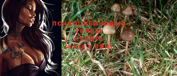 прущие крисы Абдулино